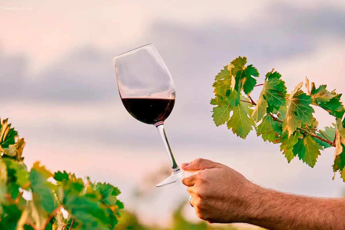 В Крыму одобрили новый стандарт для винных карт ресторанов