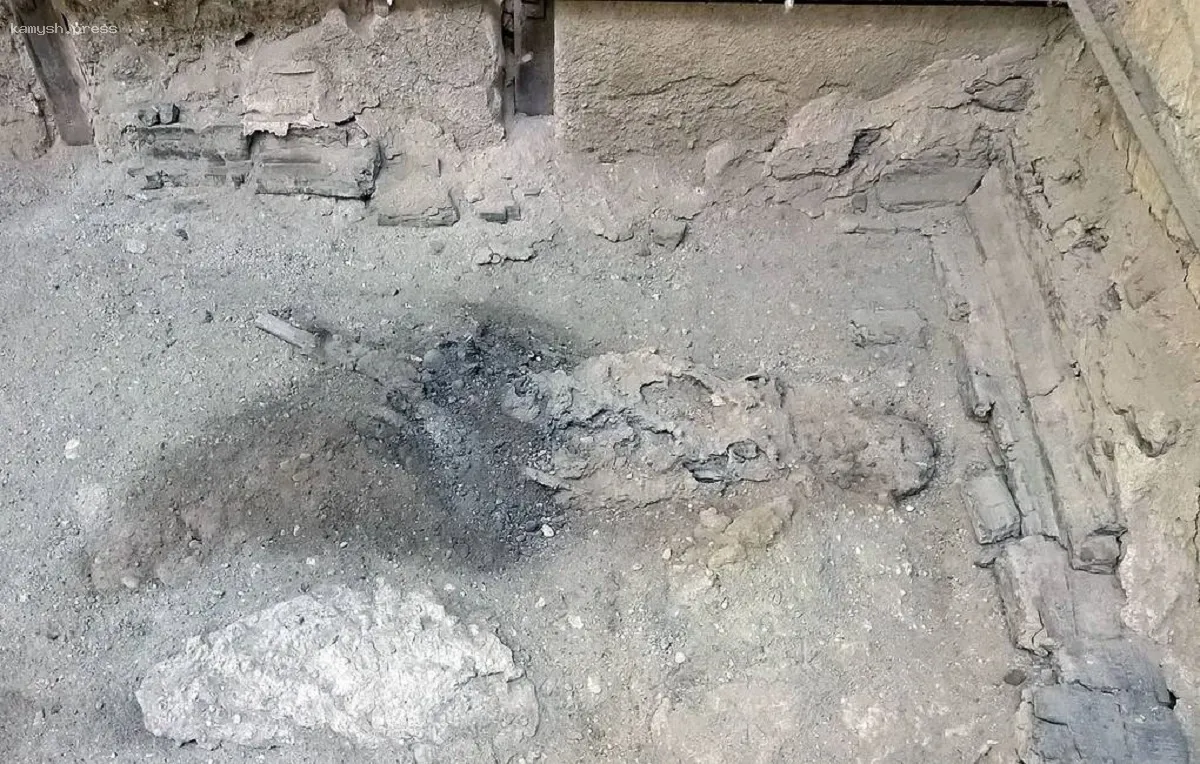 Исследователи выяснили, как мозг жертвы извержения Везувия стал стеклом