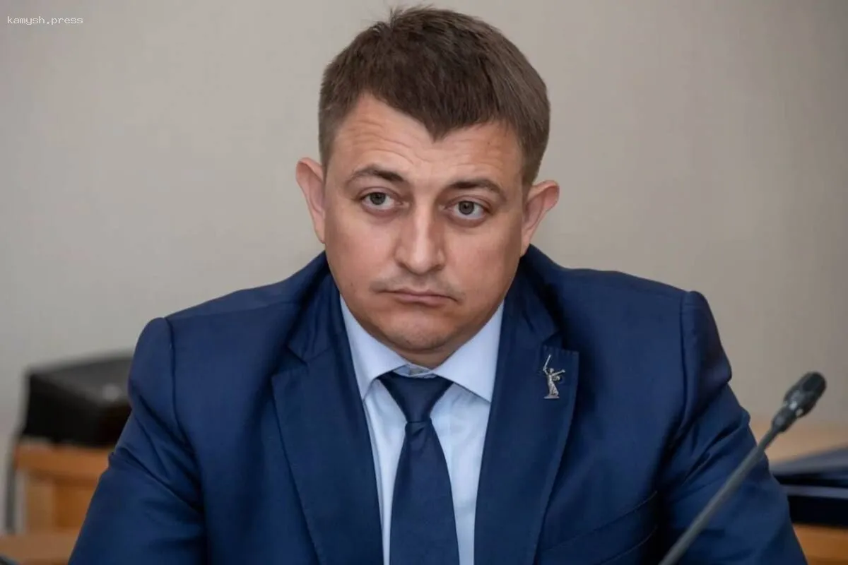 Депутат Гимбатов призывает к ужесточению законов о бездомных животных