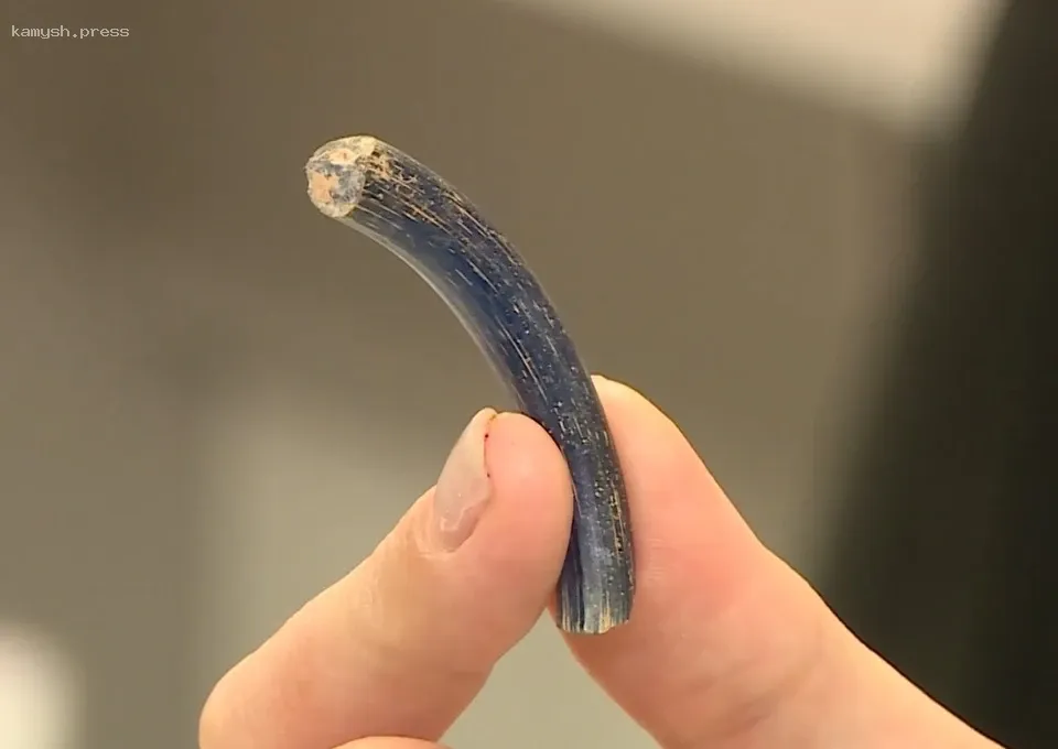 Археологи СевГУ обнаружили древние артефакты на Античном проспекте