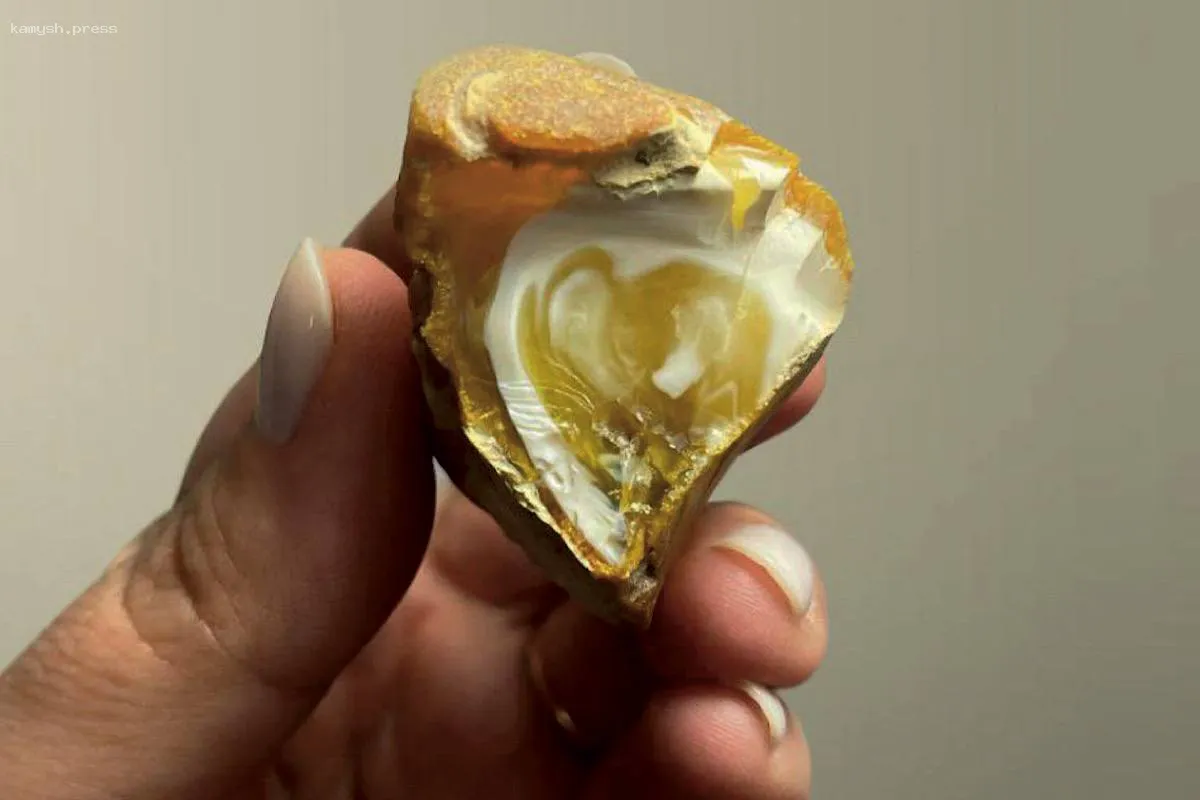 В Калининграде обнаружен необычный янтарный самородок в форме сердца к празднику 8 Марта