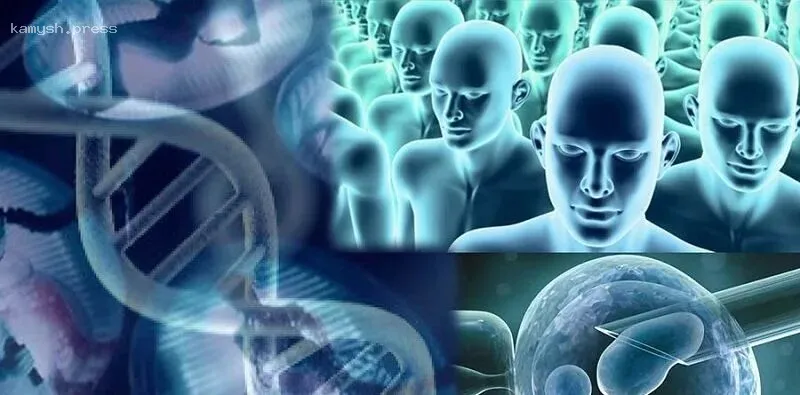 От науки к этике: клонирование и его последствия для человечества