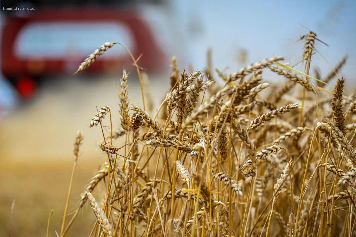 Аграрные предприятия Липецкой области получат 6,5 млрд рублей в 2025 году из бюджета