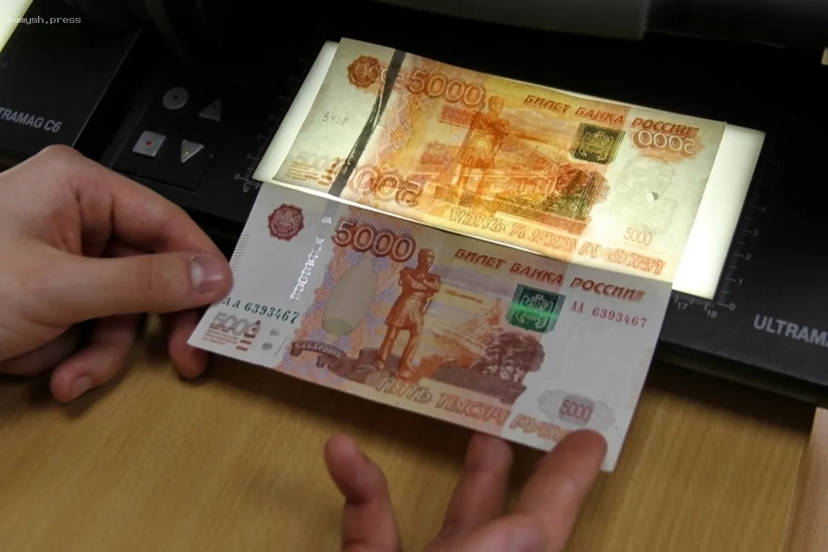 В Новосибирской области в 2024 году было изъято подделок на сумму свыше 200 000 рублей