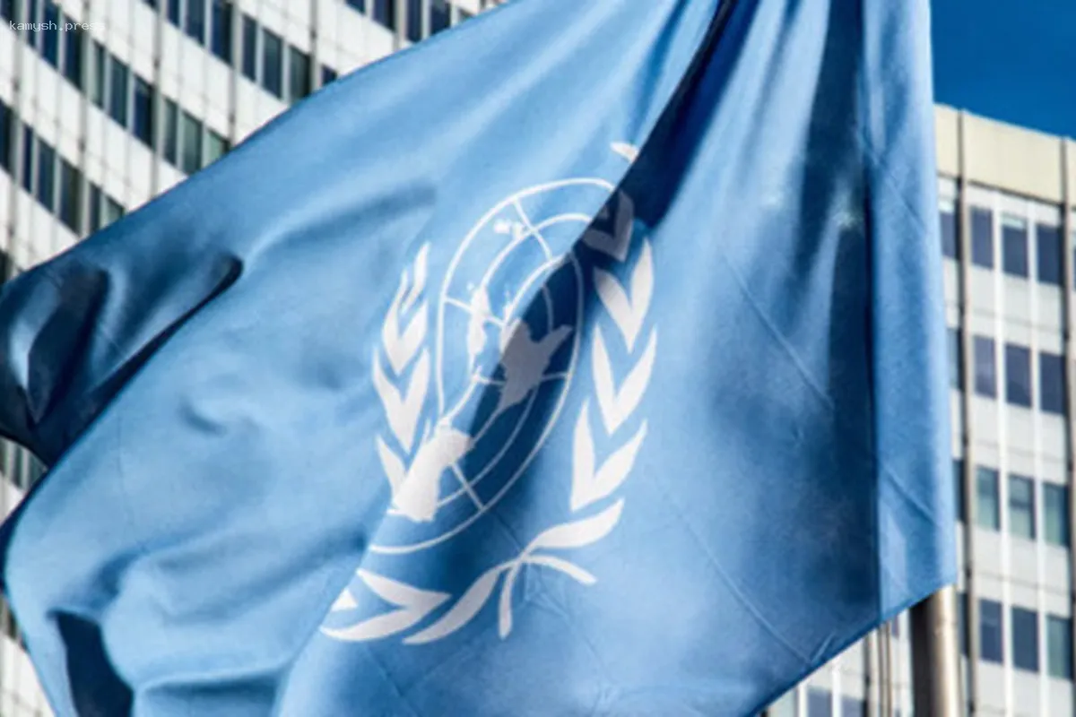 ООН обвинила Израиль в нарушениях прав человека в Газе