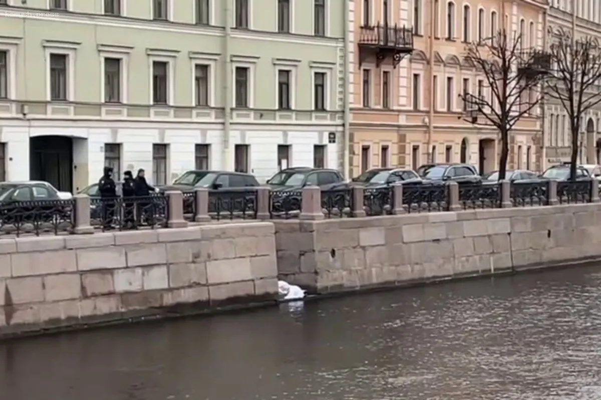 В реке Мойка найдено тело, застрявшее на льдине