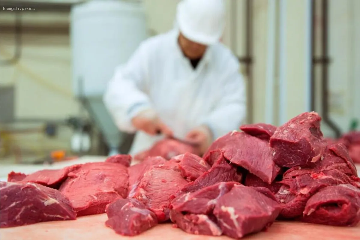 Производство мяса в 2025 году останется на высоком уровне