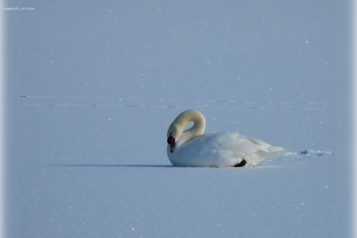 В Краснодарском крае мужчина погиб, пытаясь перейти на лед реки Журавка