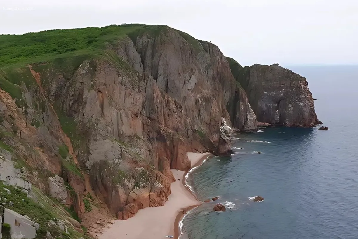 Шантарские острова станут заповедной территорией