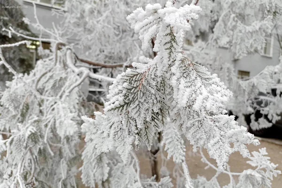 Саратовская область ожидает сильные морозы в ночь на 20 февраля