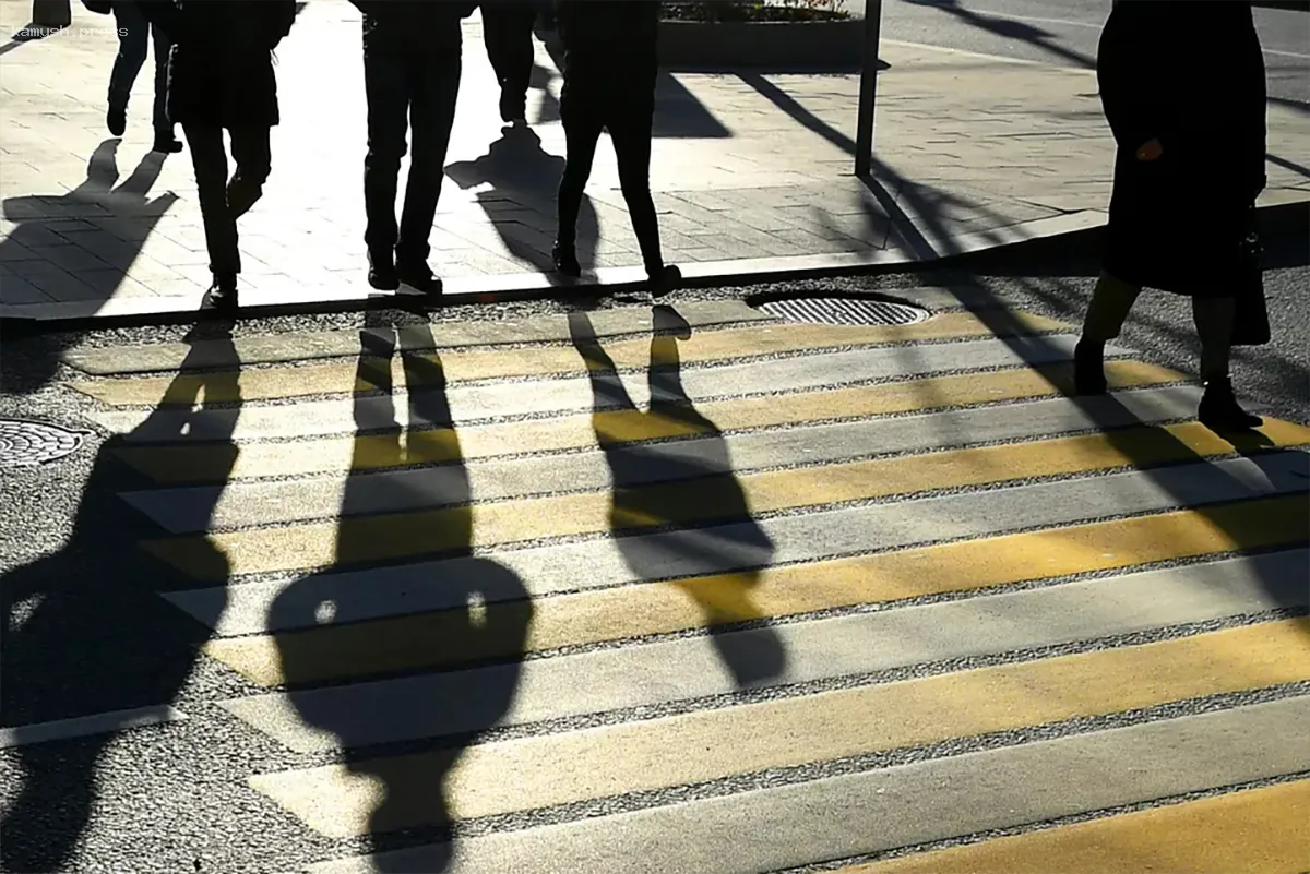 «Кошмар для пожилых» оказался в тюрьме во Владивостоке