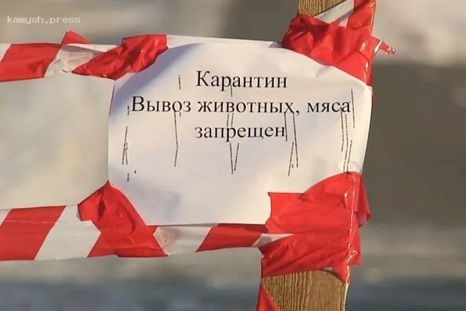 В Волгоградской области обнаружен новый очаг бешенства