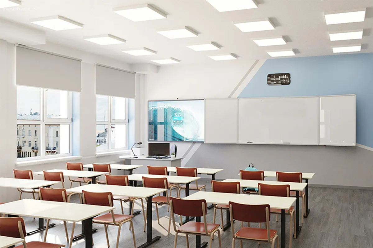 Школа в Пудоже закрыта на карантин из-за гриппа и ОРВИ