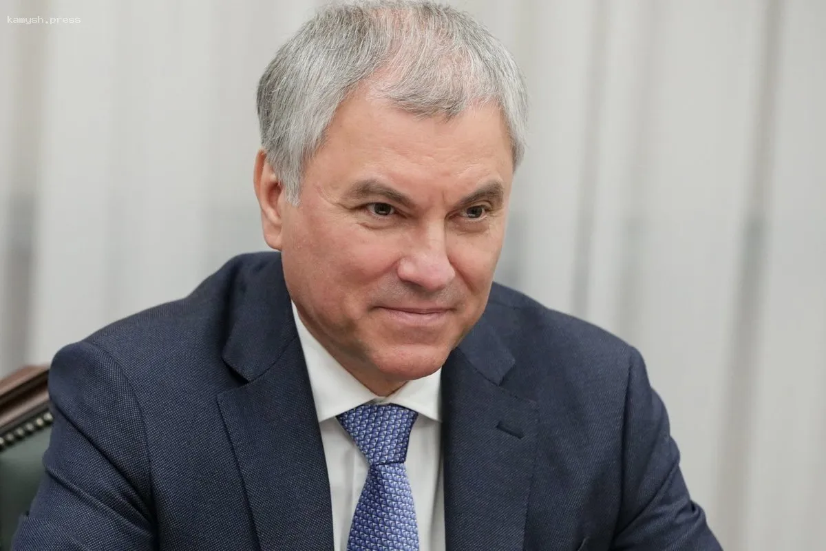 Володин высказался о будущем европейских политиков