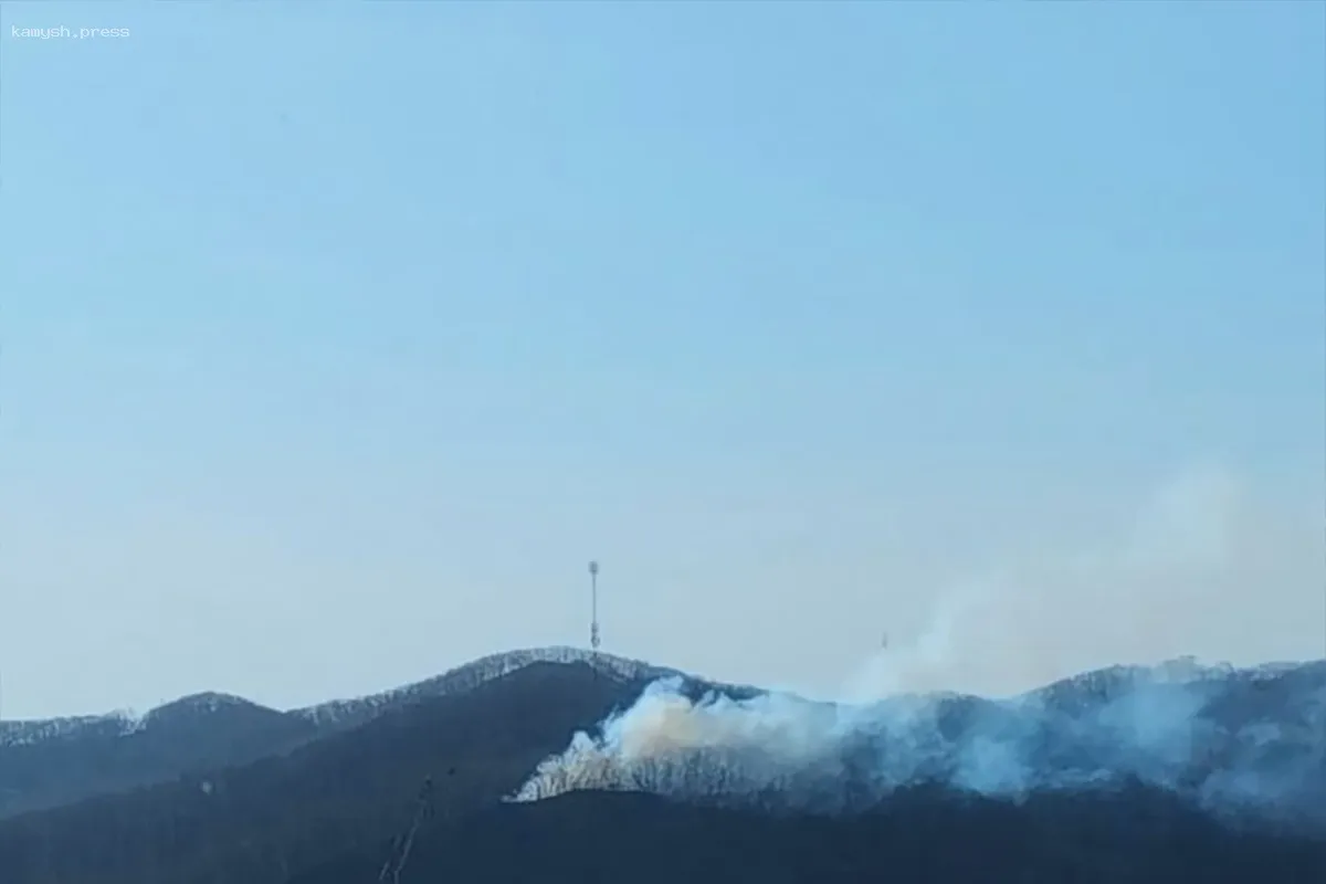 В Приморском крае лесной пожар угрожает городской больнице