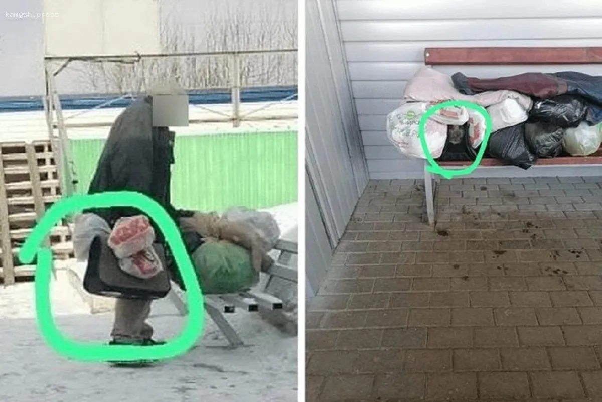 В Новосибирске полицейские забрали у бездомной кошку, которую она использовала как мягкую игрушку