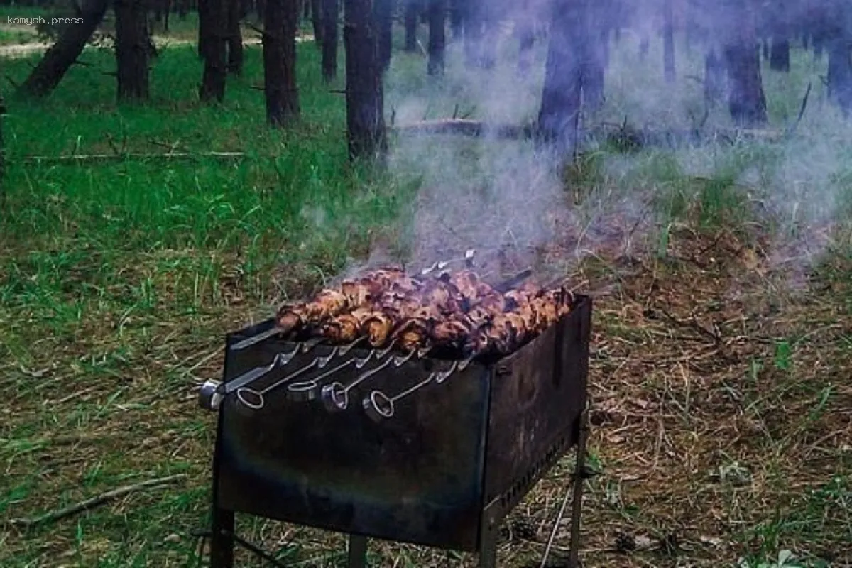 Жителям Новосибирска запретят готовить шашлыки в майские праздники
