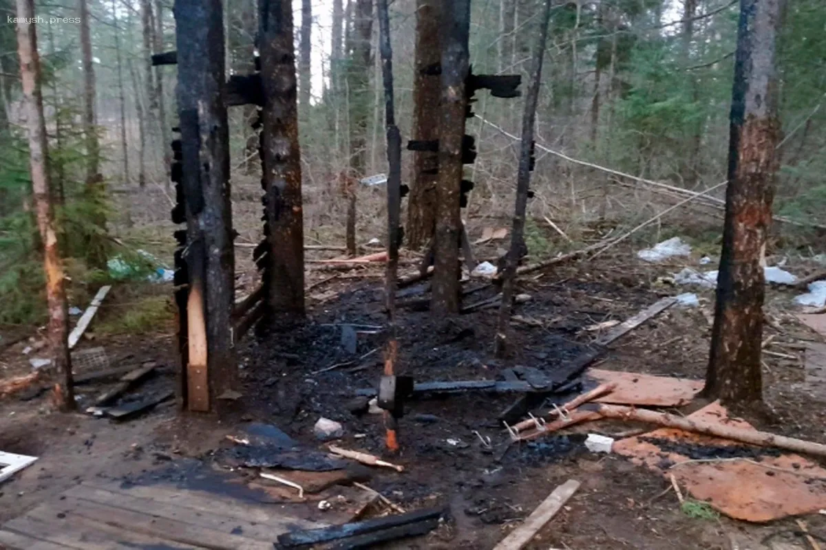 Властями Вологодской области усилен контроль над лесными пожарами с помощью наземных и воздушных средств