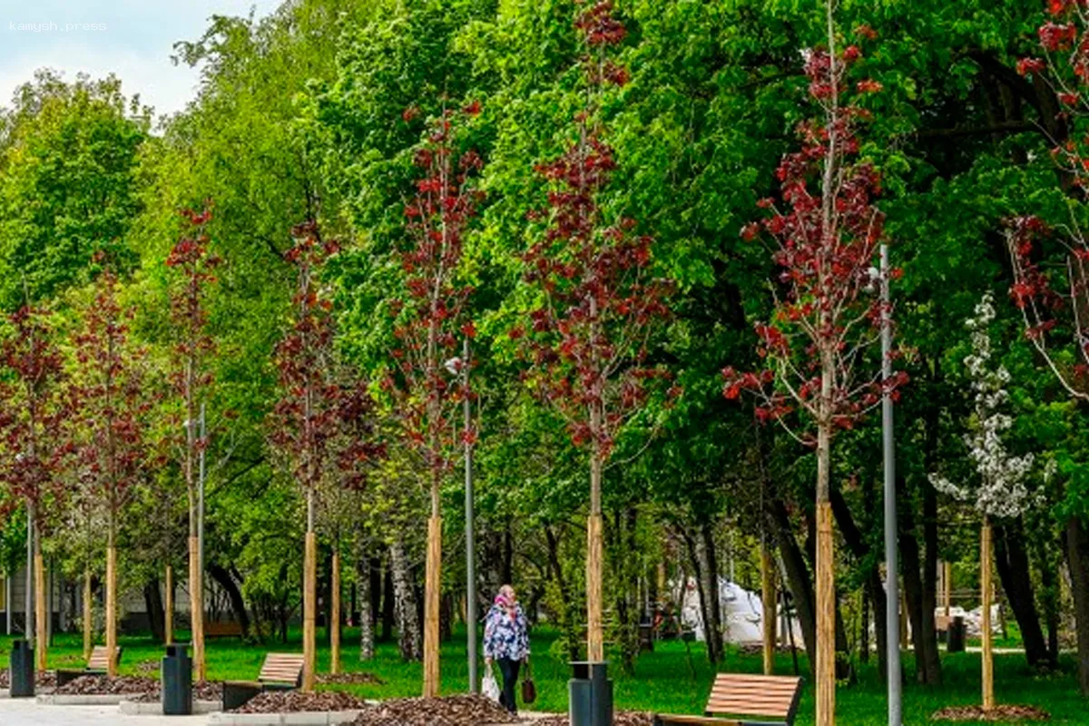 Собянин рассказал о планах по озеленению исторической зоны Ленинского проспекта