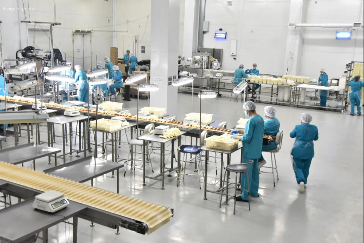 Около 20 крупных сыродельных предприятий Новосибирской области получают финансирование от местных властей