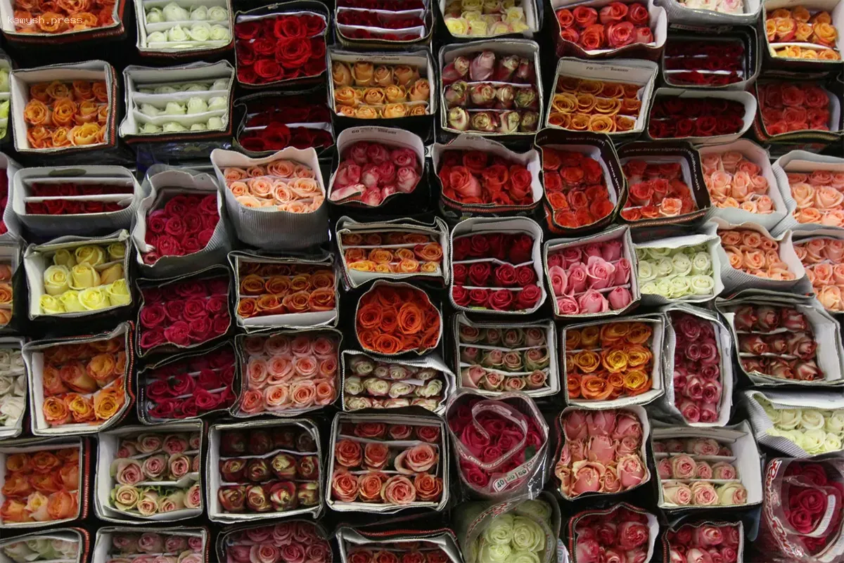 С начала года в Новосибирскую область поступило 2 тонны цветов из Китая