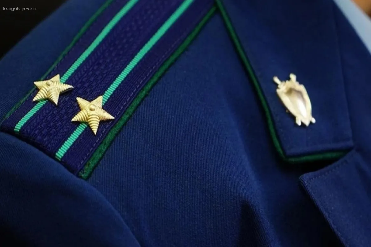 Прокуратура Карелии привлечет энергетиков к ответственности за массовые отключения электроэнергии