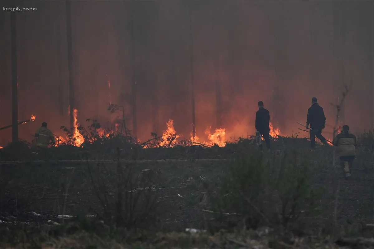 В Японии продолжается крупнейший лесной пожар с 1992 года на протяжении шести дней