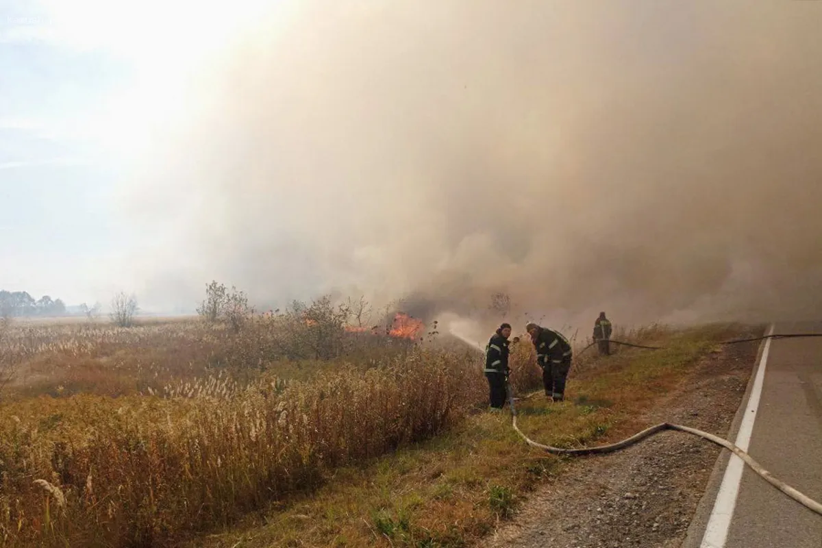 В Солотче Рязанской области созданы противопожарные разрывы и минерализованные полосы
