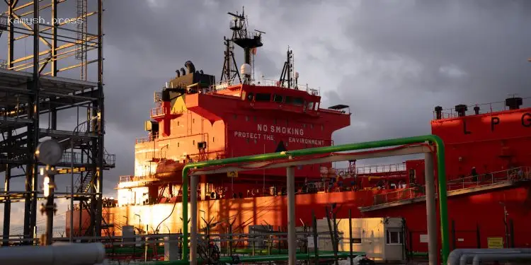 Нефтяной экспортный терминал в Усть-Луге снизит производительность в два раза из-за дроновых ударов – СМИ