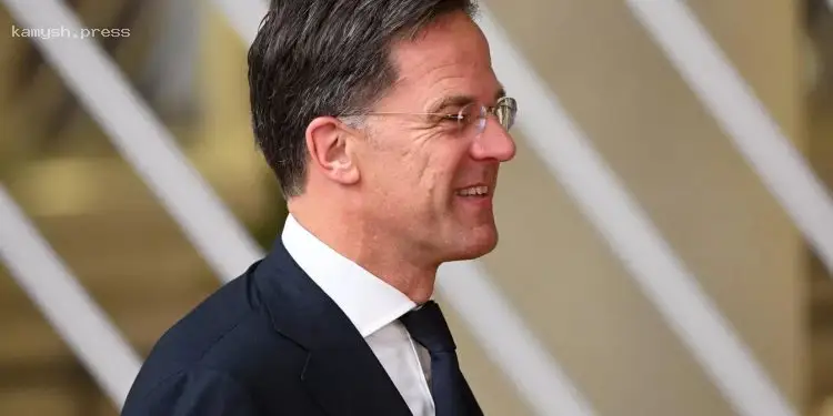 Рютте оценил усилия Трампа по налаживанию диалога с Путиным