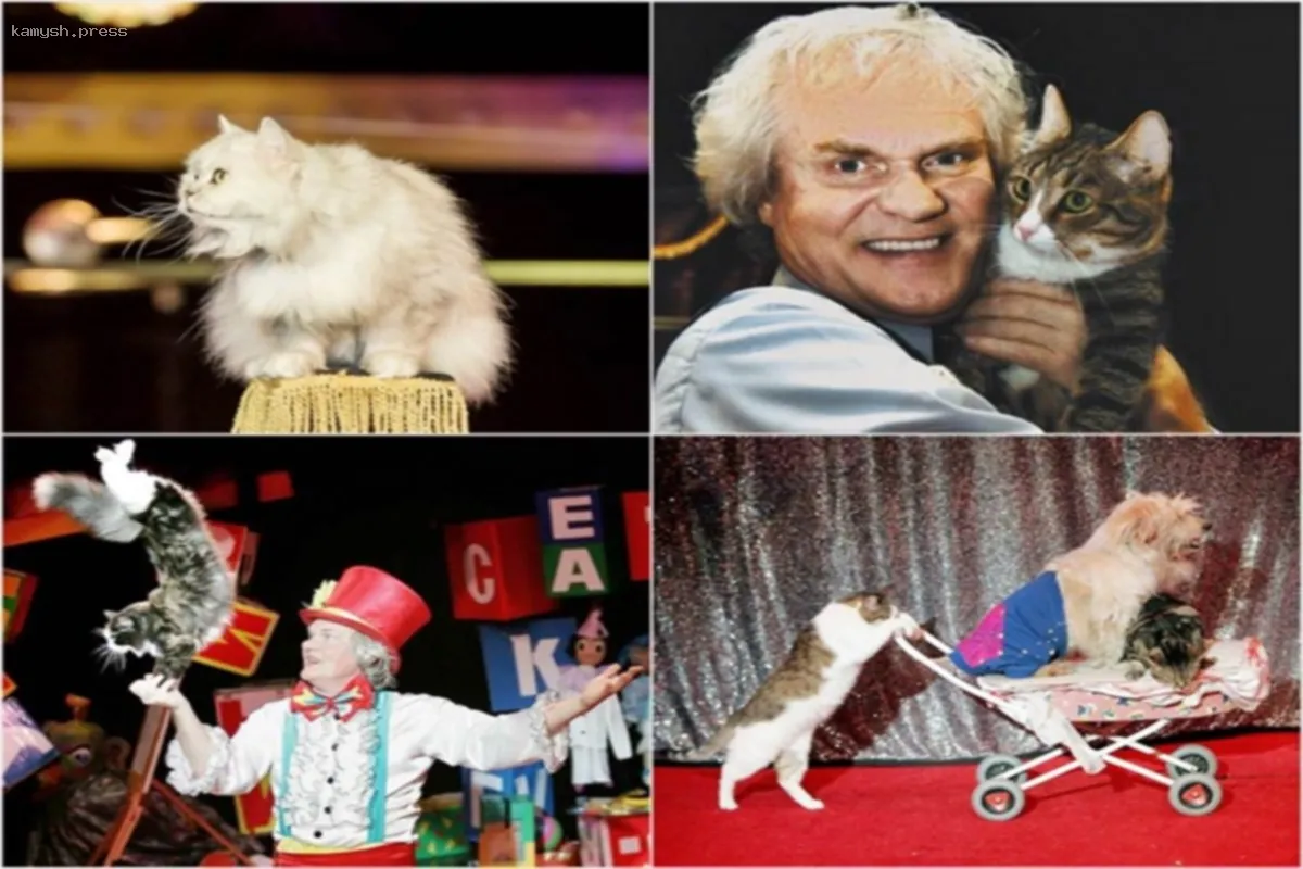 Кошки предостерегли труппу театра Куклачева о риске землетрясения в Японии