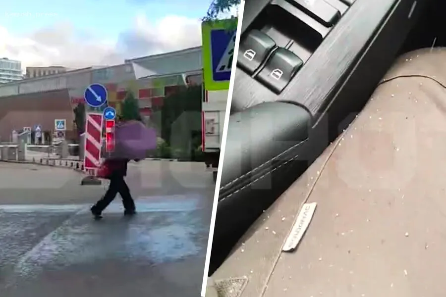 С наступлением холодов в Москву пришли снеговые осадки