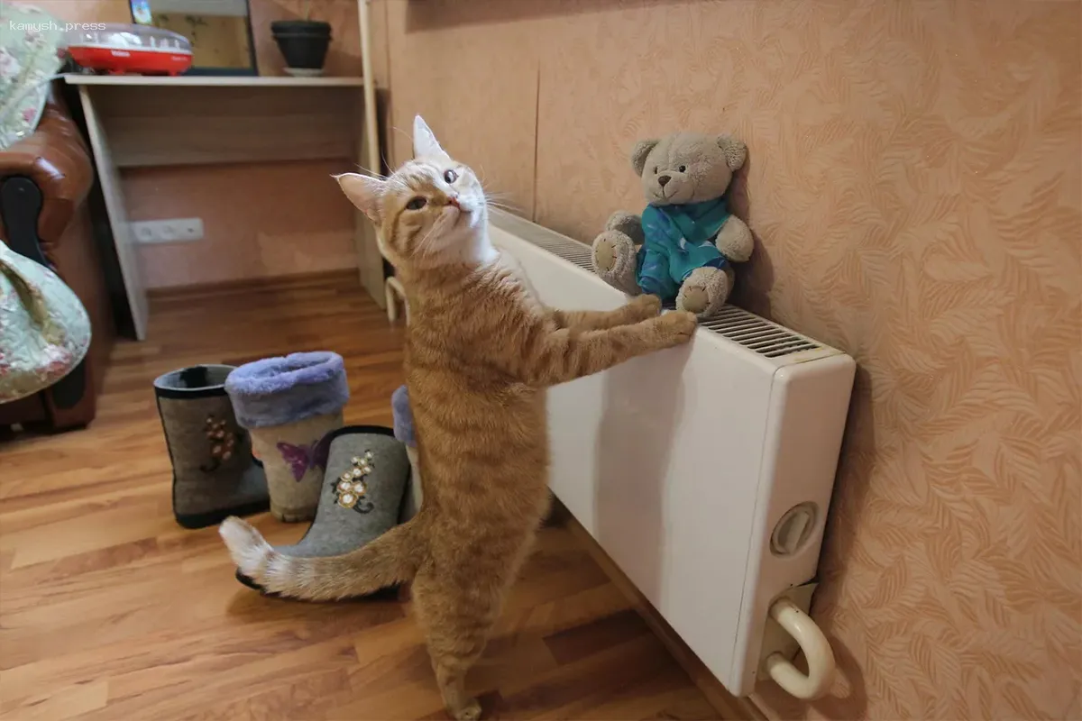 В Биробиджане отключение отопления не планируется до конца апреля