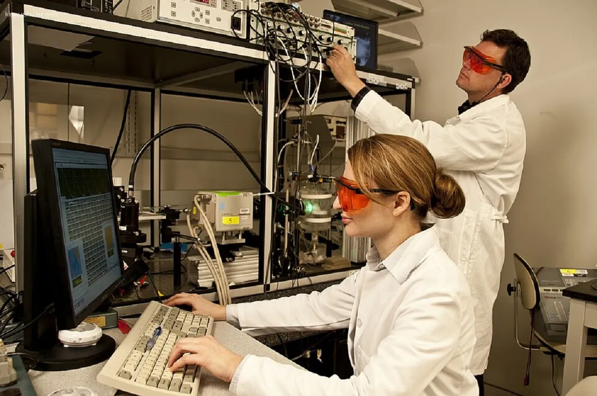 Исследователи раскрыли секреты активации механизма долголетия