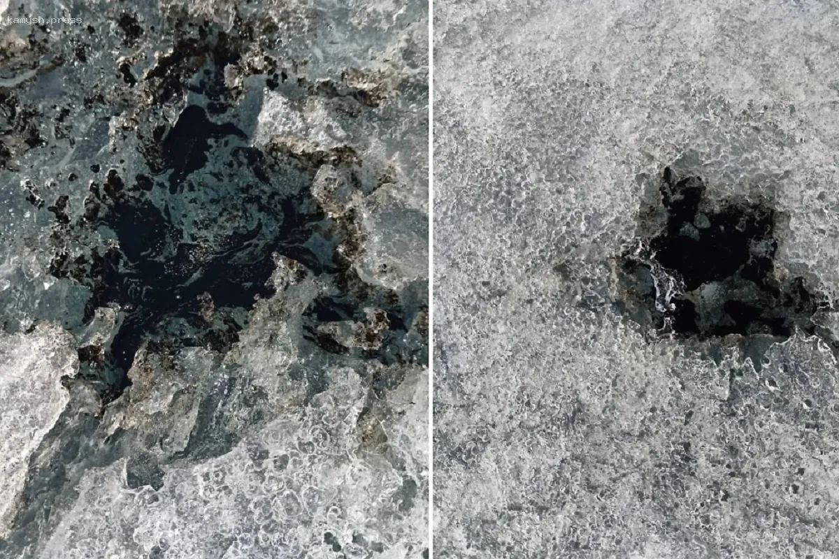 Биолог Тимофеев раскрыл тайну черных пятен на Байкале