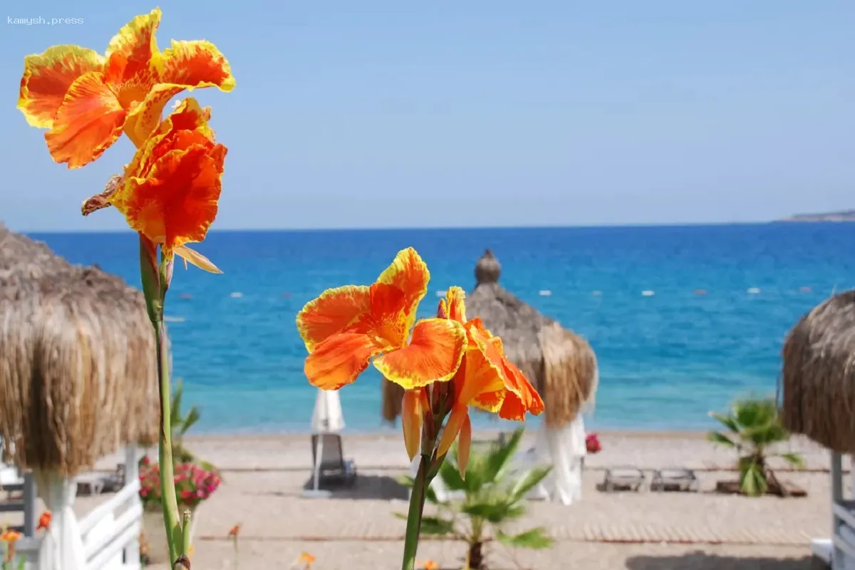 Узнайте, каковы цены на отдых в Таиланде и ОАЭ в мае