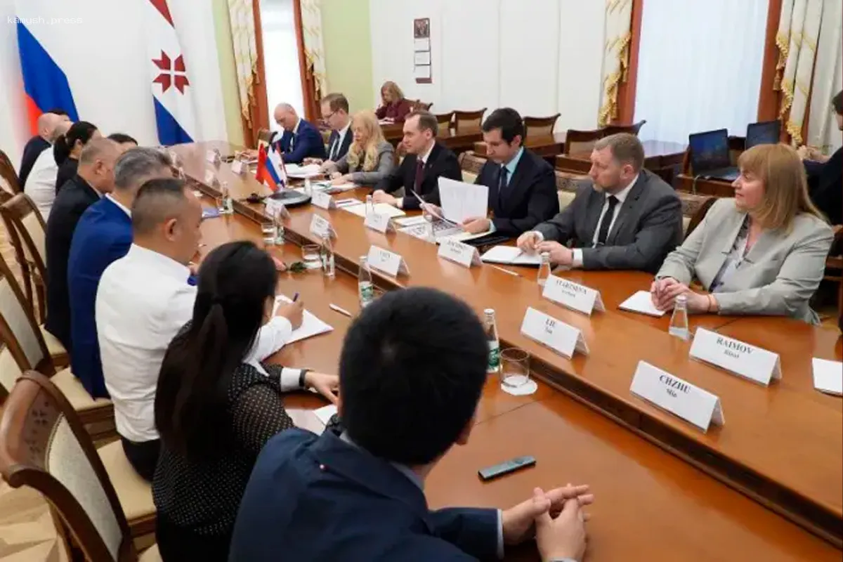 В Мордовии состоялась встреча с китайской делегацией для обсуждения совместных инициатив