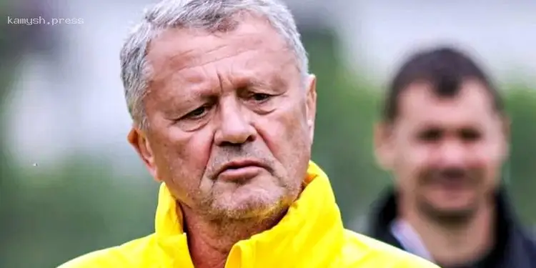 В налоговом комитете Рады прокомментировали массовые закрытия ФЛП в начале 2025 года