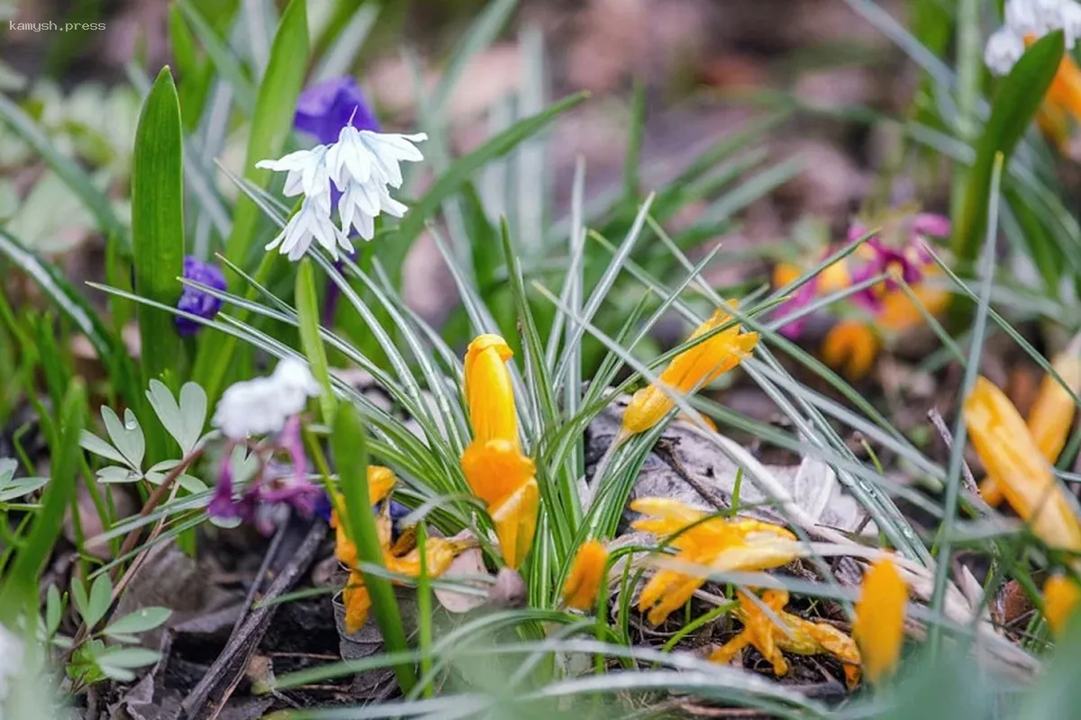 Пасхальные праздники в Саратовской области встретят теплой погодой