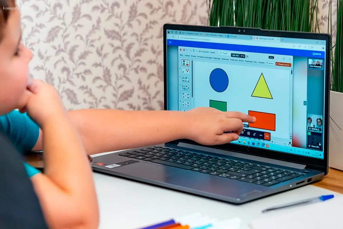 Москва перевела диагностику детей с ограниченными возможностями в удаленный формат