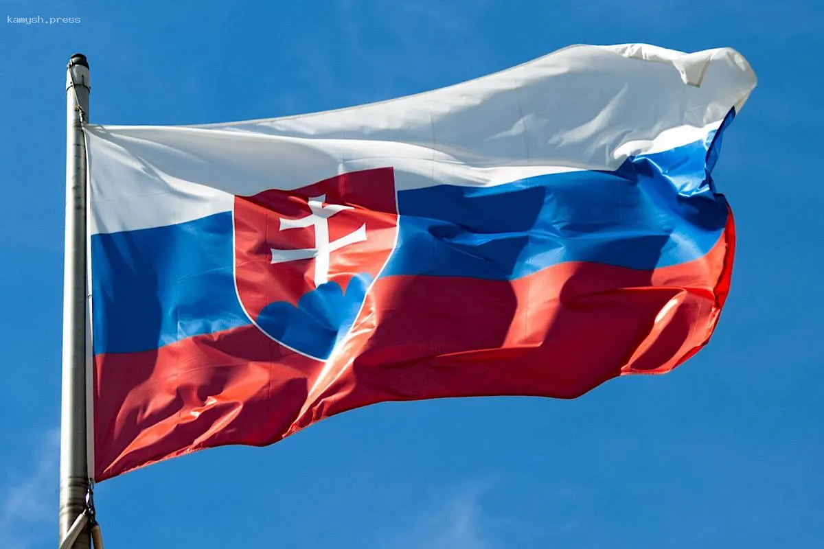 Правительство Словакии воздержалось от одобрения создания судебного органа для преследования РФ