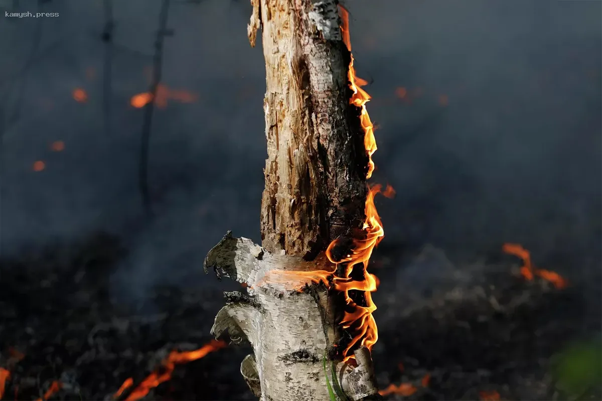 В Биробиджане введен особый режим пожарной безопасности