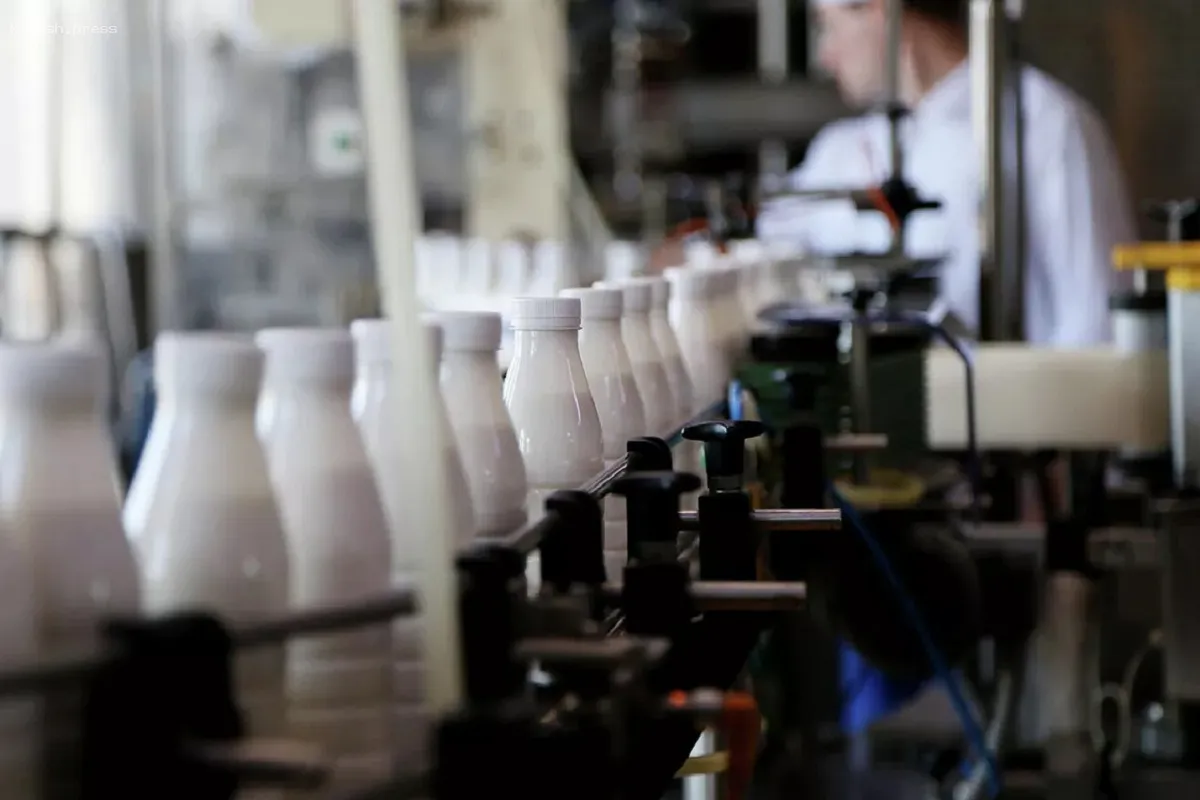 В магазинах Новосибирска нашли 82 кг небезопасной молочной продукции