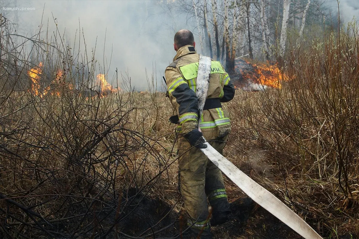 В Приморском крае площадь природных возгораний за выходные уменьшилась до 16 гектаров