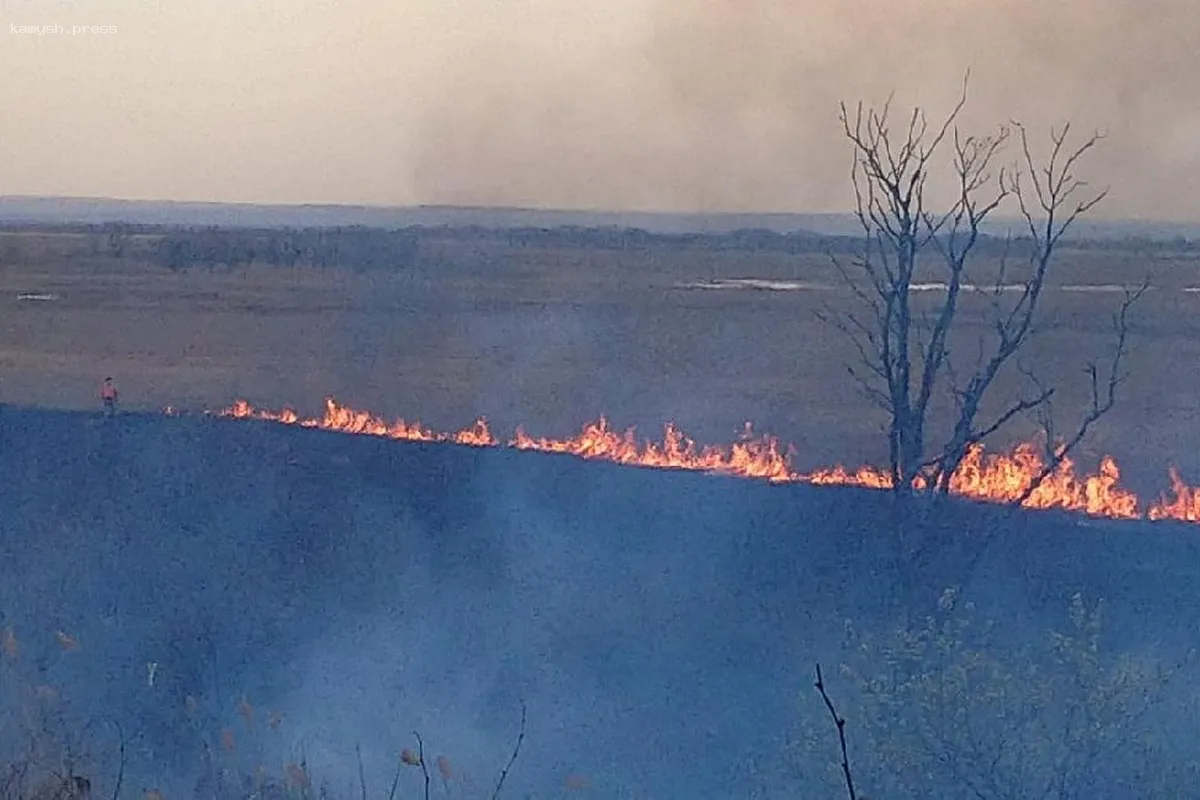 В частном заповеднике Приамурья произошел катастрофический пожар