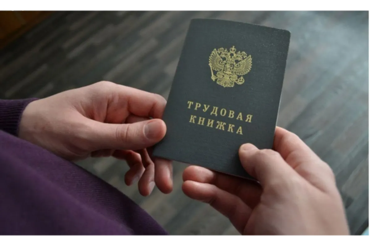 Работодатели смогут проверять данные о кандидатах с помощью государственных информационных систем