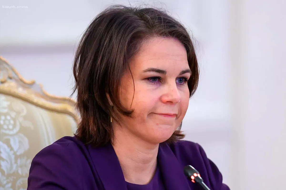 В Государственной Думе прокомментировали новый визит Бербок в Киев