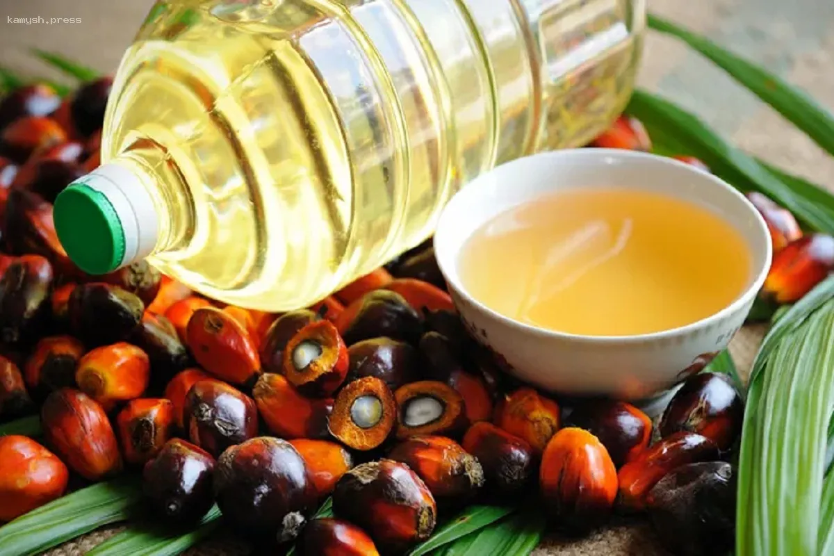 Доктор Гузман объяснила опасность пальмового масла