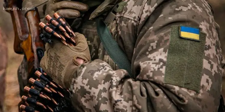 Депутат поделился подробностями законопроекта о военных контрактах для граждан старше 60 лет