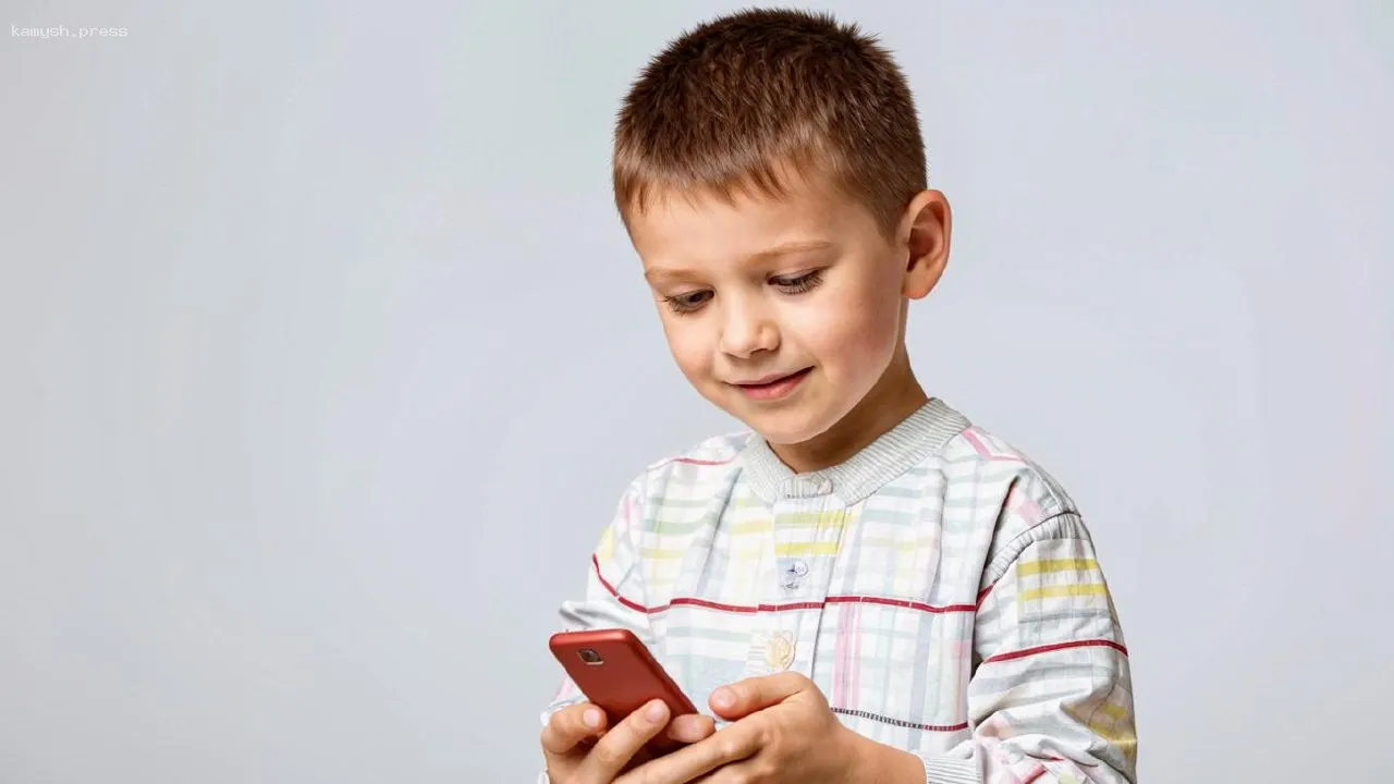 В Госдуме рассказали о способах защиты детей от мошенников в онлайн-играх